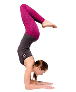 Legging de Yoga Ashtanga Yoga rosa