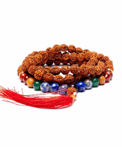 Mala Chakra de Rudraksha 108 cuentas