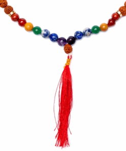 Mala Chakra de Rudraksha 108 cuentas