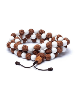 Mala rudraksha / concha 108 cuentas