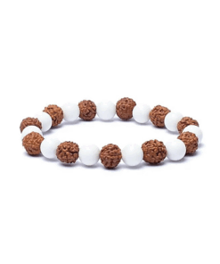 Pulsera rudraksha / concha