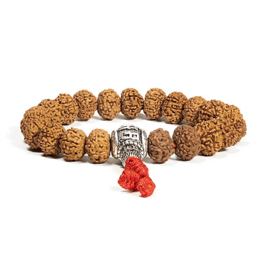 Mala/pulsera rudraksha mantra 21 granos