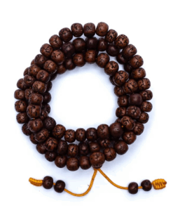 Mala de Rudraksha pulido 108 cuentas y bolsa