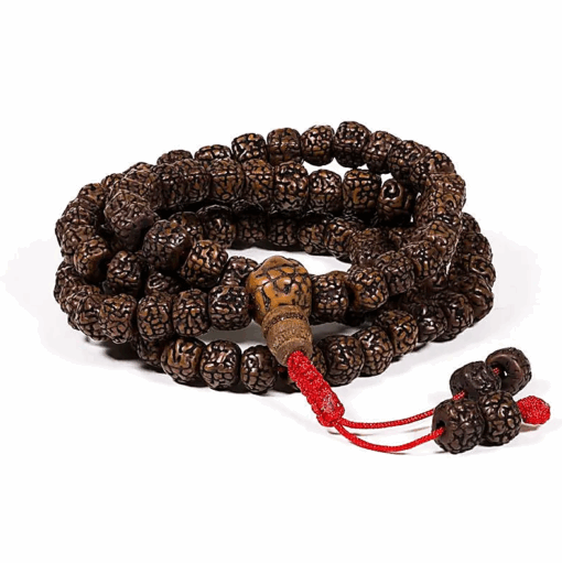 Mala para Yoga de Rudraksha pulido 108 cuentas