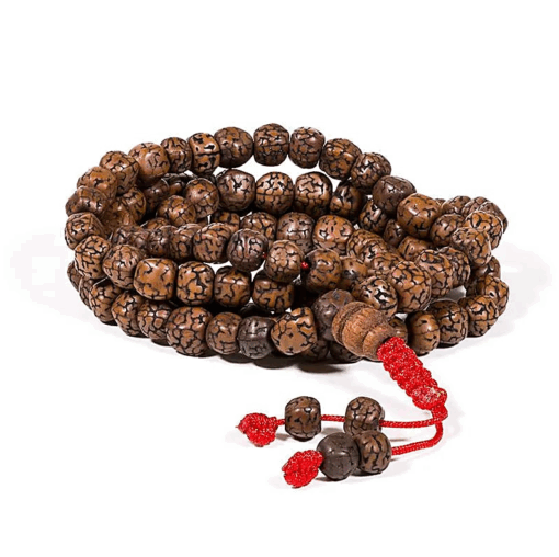 Mala para Yoga de Rudraksha pulido 108 cuentas 2