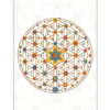 Bloc de notas Flor de la vida para yoga 5 Unidades