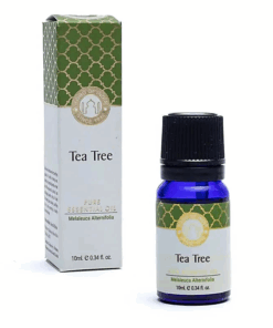 Aceite esencial de Tea tree Song of India para yoga 3 unidades