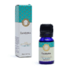 Aceite esencial de Eucalipto Song of India para yoga 3 unidades