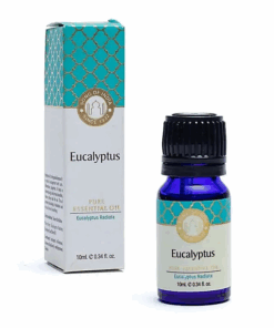 Aceite esencial de Eucalipto Song of India para yoga 3 unidades