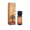 Carnatia Magic Within You aceite perfumado Rise, Renew, Flourish para yoga 3 unidades