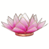 Portavelas Loto rosa/rosa claro bordes oro para yoga